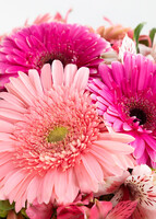 Imagen preview para Kit Cumpleañero Personalizado - 4