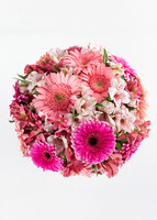 Imagen preview para Kit Cumpleañero Gerberas con Pastel Vainilla Florence - 3