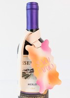 Imagen preview para Kit Cumpleañero Sagitario - 4