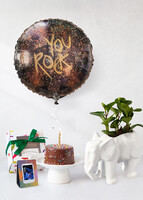 Imagen preview para Kit Cumpleaños Planta, Mini Pastel Chocolate, Globo y Polaroid - 1