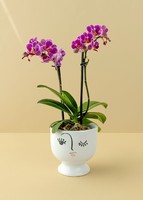 Imagen preview para Mini Orquídea Morada en Mini Base de Cerámica - 1
