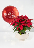 Imagen preview para Noche Buena con Globo "Felices Fiestas" - 1
