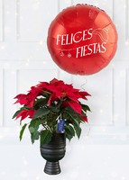 Imagen preview para Noche Buena con Globo "Felices Fiestas" - 1