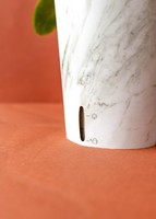 Imagen preview para Orquídea Blanca de Autorriego - 2