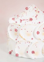 Imagen preview para Pastel Vainilla The Wish by Paulina Abascal - 2