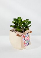 Imagen preview para Planta del Éxito con Distintivo ''Feliz Cumpleaños'' - 1