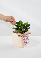 Imagen preview para Planta del Éxito con Distintivo ''Feliz Cumpleaños'' - 2