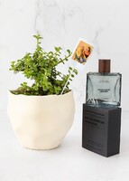 Imagen preview para Loción Miniso Hombre y Planta con Mini Foto - 1