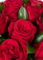 Imagen preview para Personaliza Marco Negro con 24 Rosas Rojas - 4