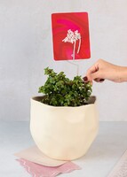 Imagen preview para Personaliza Marco Negro con Árbol de la Abundancia - 3