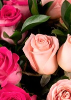 Imagen preview para Personaliza Vino Beringer "Nada mejor que tu"con 24 rosas rosas y globo  - 5