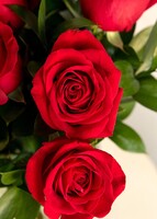 Imagen preview para Personaliza con Mini Foto 12 Rosas Rojas - 4