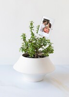 Imagen preview para Personaliza con Mini Foto con Árbol de la Abundancia - 1