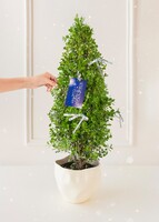 Imagen preview para Arbolito de los Buenos Deseos  - 3