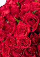 Imagen preview para Ramo con 100 rosas rojas enviaflores - 4