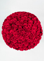 Imagen preview para Ramo con 150 Rosas Rojas Enviaflores - 1
