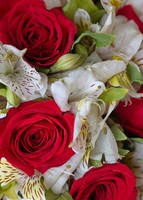 Imagen preview para Ramo con 8 Rosas rojas y Alstroemeria - 4