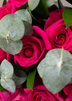 Imagen preview para Ramo de 12 Rosas Fucsia - 4