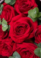 Imagen preview para Ramo de 12 Rosas Rojas - 4