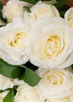 Imagen preview para Ramo de 24 Rosas Blancas - 4