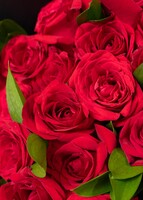 Imagen preview para Ramo de 24 Rosas Rojas - 4