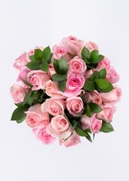 Ramo de 24 Rosas Rosa Claro