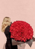 Imagen preview para Ramo de 500 Rosas Rojas - 3