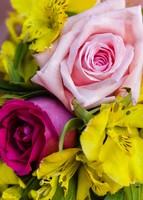 Imagen preview para Ramo de 9 Rosas y Alstroemerias - 4