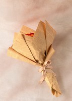 Imagen preview para Cempasúchil y Garra de León en Ramo - 5