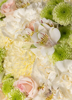 Imagen preview para Ramo de Claveles Blancos y Margaritas - 4