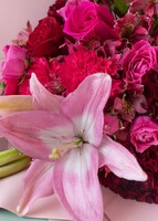 Imagen preview para Ramo de Claveles y Lily Rosa - 5