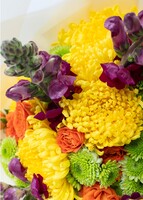 Imagen preview para Ramo de Codorniz Amarillo y Mini Rosas - 4