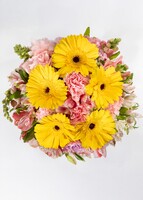 Imagen preview para Rayos de Sol con Gerberas y Claveles - 1