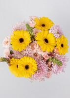 Imagen preview para Rayos de Sol con Gerberas y Roxanne - 1