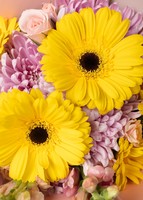 Imagen preview para Rayos de Sol con Gerberas y Roxanne - 4