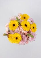 Imagen preview para Rayos de sol con Gerberas y Roxanne con mini foto - 4