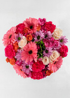 Imagen preview para Ramo de Gerberas Rosa y Margaritas con Mini Foto - 2