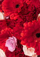 Imagen preview para Beso Ramo con Gerberas Rojas y Claveles - 4