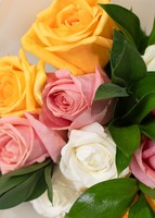 Imagen preview para Ramo de 12 Rosas Coloridas - 4