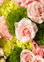 Imagen preview para Magia por Siempre con Rosas y Claveles - 4