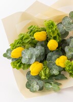 Imagen preview para Ramo de Tulipanes Amarillos - 2