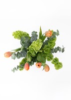 Imagen preview para Ramo de Tulipanes Naranjas - 2