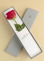 Imagen preview para Rosa Hermosa Roja en caja - 1
