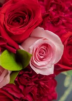 Imagen preview para Rosas y Claveles en Caja - 4