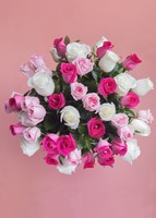 Imagen preview para Solamente nosotros arreglo con 50 rosas - 2