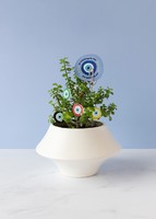 Imagen preview para Planta de la Buena Vibra - 1